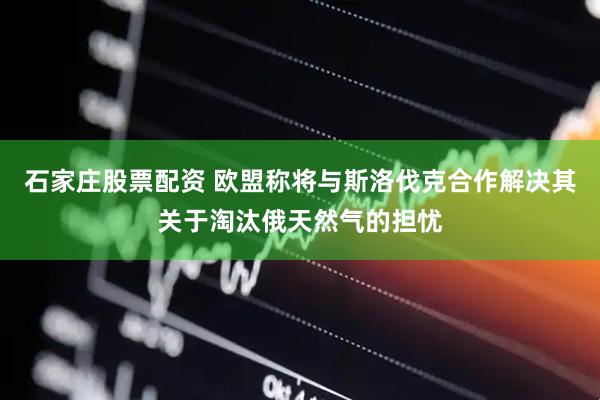 石家庄股票配资 欧盟称将与斯洛伐克合作解决其关于淘汰俄天然气的担忧