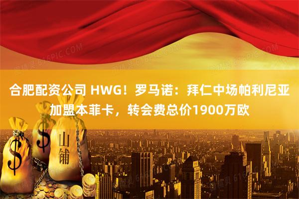 合肥配资公司 HWG！罗马诺：拜仁中场帕利尼亚加盟本菲卡，转会费总价1900万欧